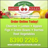 Smith Gully Orchards